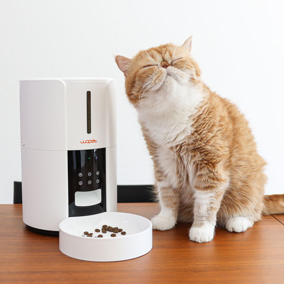 Pet27